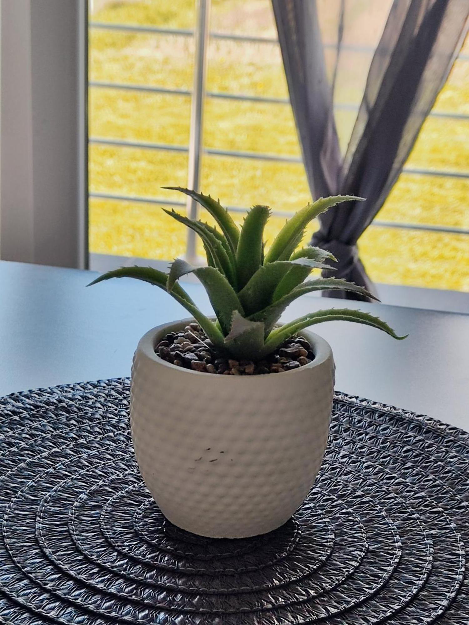 Apartman Marija Perusic Dış mekan fotoğraf